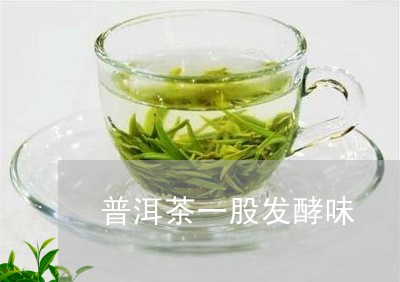 普洱茶一股发酵味/2023033127148