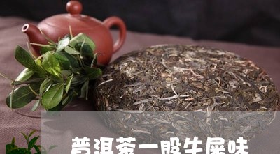 普洱茶一股牛屎味/2023033024837