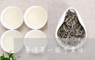 普洱茶一股牛粪味/2023033129704