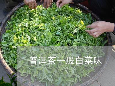 普洱茶一股白菜味/2023033096283