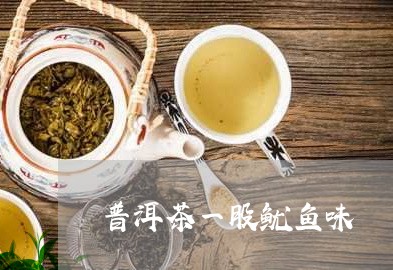 普洱茶一股鱿鱼味/2023033027493