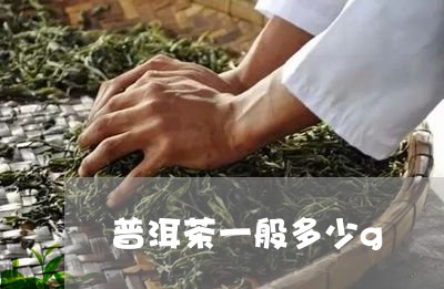 普洱茶一般多少g/2023033000472