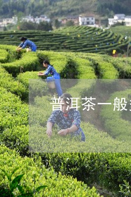 普洱茶一般多少斤/2023040193816