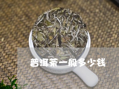 普洱茶一般多少钱/2023041415150