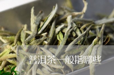 普洱茶一般指哪些/2023031741714