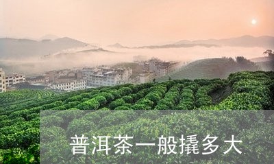 普洱茶一般撬多大/2023033184274