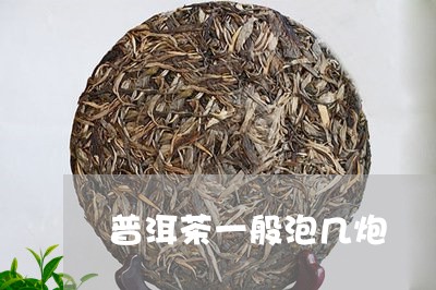 普洱茶一般泡几炮/2023033018605