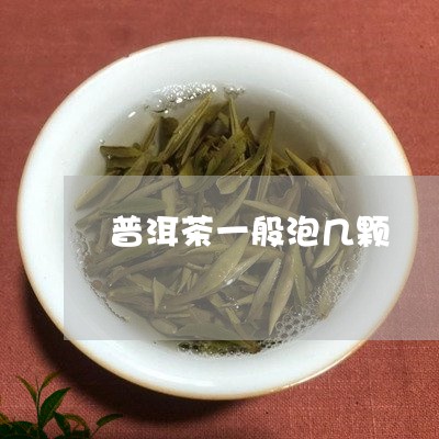 普洱茶一般泡几颗/2023033146161