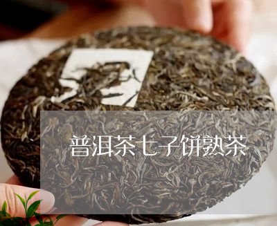 普洱茶七子饼熟茶/2023031791615