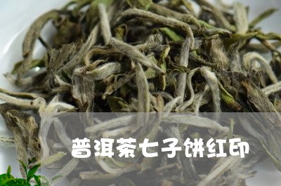 普洱茶七子饼红印/2023033109526