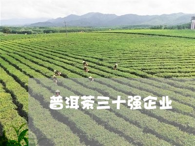 普洱茶三十强企业/2023031851605