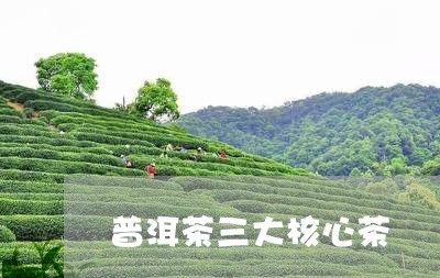 普洱茶三大核心茶/2023041173836