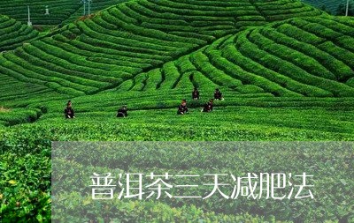 普洱茶三天减肥法/2023033169702