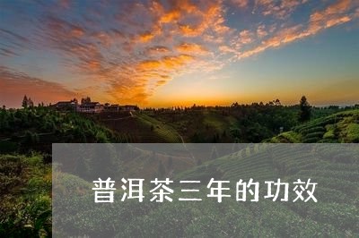 普洱茶三年的功效/2023033179593