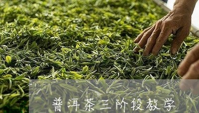 普洱茶三阶段教学/2023033144050