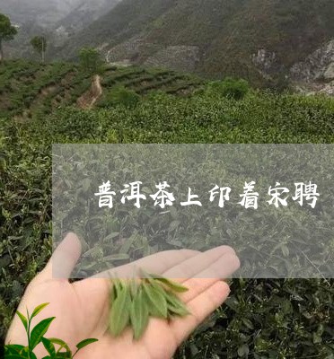 普洱茶上印着宋聘/2023040108594