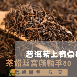 普洱茶上有点白点/2023041004837