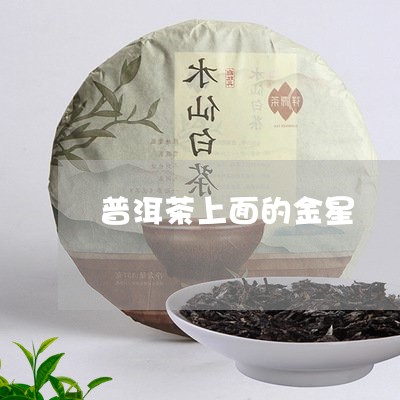 普洱茶上面的金星/2023041019491