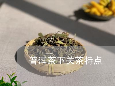 普洱茶下关茶特点/2023041216269