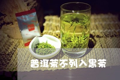 普洱茶不列入黑茶/2023041140594