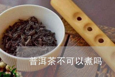 普洱茶不可以煮吗/2023033183836