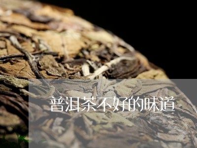 普洱茶不好的味道/2023041053837