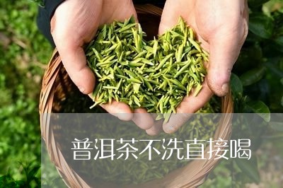 普洱茶不洗直接喝/2023041005827