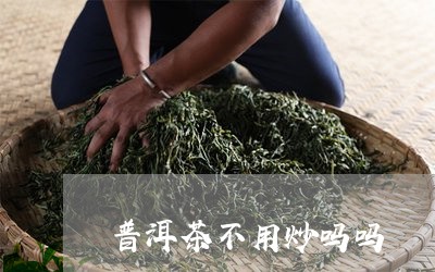 普洱茶不用炒吗吗/2023041361816