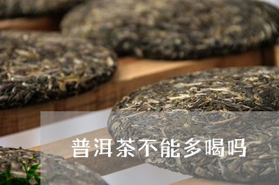 普洱茶不能多喝吗/2023031794879