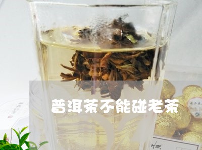 普洱茶不能碰老茶/2023041183836