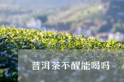 普洱茶不醒能喝吗/2023031613604