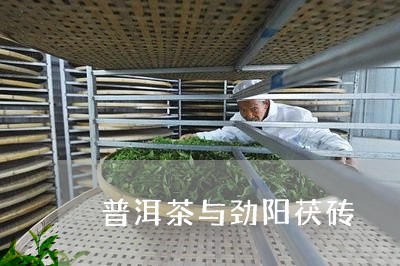 普洱茶与劲阳茯砖/2023033183515