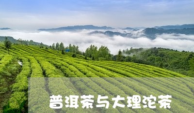 普洱茶与大理沱茶/2023041003058