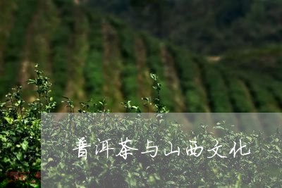 普洱茶与山西文化/2023031615149