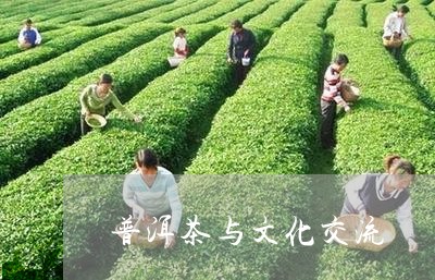 普洱茶与文化交流/2023031615147