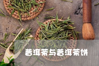 普洱茶与普洱茶饼/2023031753746