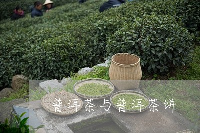 普洱茶与普洱茶饼/2023041274162