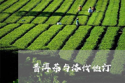 普洱茶与洛伐他汀/2023041016180