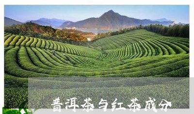 普洱茶与红茶成分/2023041194960