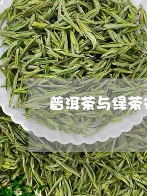 普洱茶与绿茶对比/2023041018372