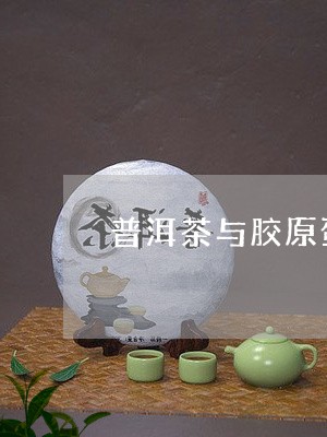 普洱茶与胶原蛋白/2023033005279