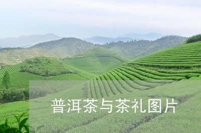 普洱茶与茶礼图片/2023041192793