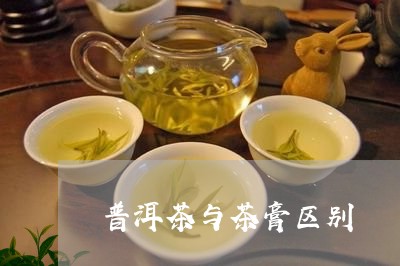 普洱茶与茶膏区别/2023031662615