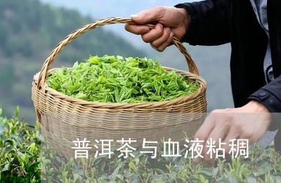 普洱茶与血液粘稠/2023041009595