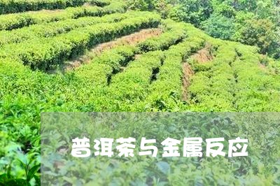 普洱茶与金属反应/2023041370815