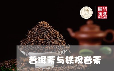 普洱茶与铁观音茶/2023041183829