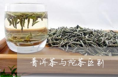 普洱茶与陀茶区别/2023031608460