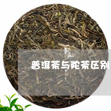 普洱茶与陀茶区别/2023041194149