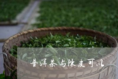 普洱茶与陈皮可以/2023041126359