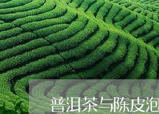 普洱茶与陈皮泡茶/2023041094248